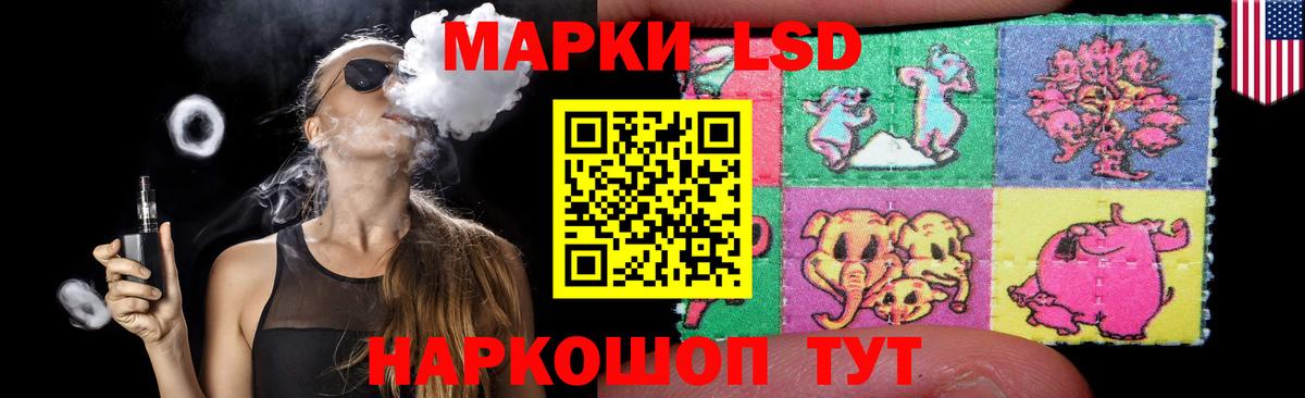 LSD-25 экстази  Вход с VPN  Новозыбков  LSD-25 экстази кислота 