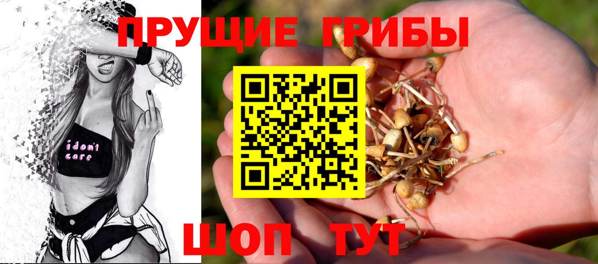Новозыбков  Псилоцибиновые грибы Magic Shrooms  Вход с VPN 