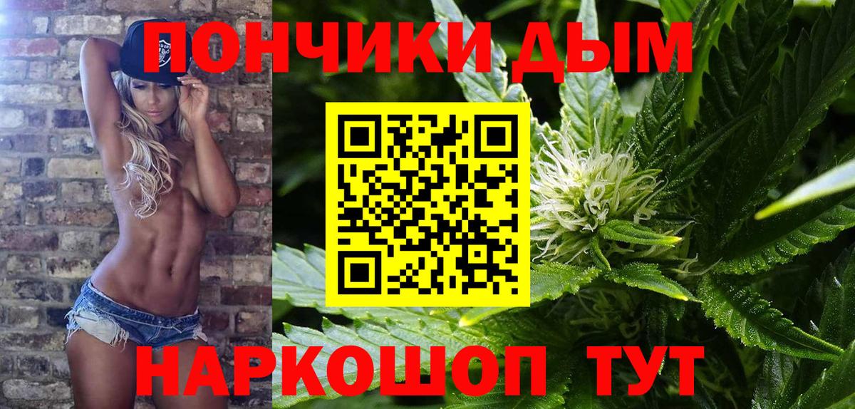 Новозыбков  Конопля сатива  Вход с VPN  Бошки марихуана Bruce Banner  Бошки Шишки VHQ 
